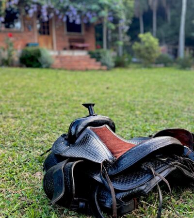 603a87b3 48b1 4079 afb4 86de3ddd8537