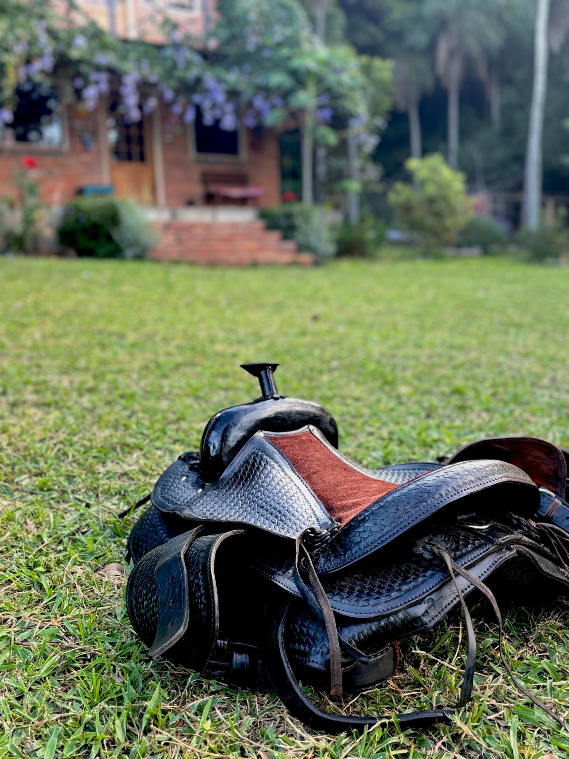 603a87b3-48b1-4079-afb4-86de3ddd8537 603a87b3 48b1 4079 afb4 86de3ddd8537